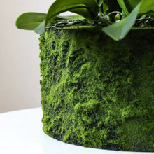 Laden Sie das Bild in den Galerie-Viewer, VICKY YAO Faux Floral - Handmade Super High Real Touch 19 stems Artificial Orchids Arrangement With Hard Mud Mortar Pot