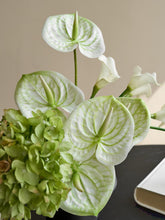 將圖片載入圖庫檢視器 VICKY YAO Faux Floral – Natural Touch Modern Artificial Arrangement with Anthurium, Calla Lily &amp; Hydrangea | Elegant Green Decor for Home &amp; Office