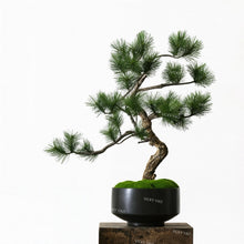 Load image into Gallery viewer, VICKY YAO - Artificial Bonsai Tree Pine with Real Trunk Fake Plant Indoor Decoration, Zen Japanese Home Decor 55x 28 x 68cmH