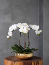 Load image into Gallery viewer, VICKY YAO Design aesthetic- Best Popular Handmade Exclusive Design Natural Touch Artificial Orchids Art In Ceramic Golden Pot