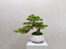Laden Sie das Bild in den Galerie-Viewer, VICKY YAO Faux Plant - Exclusive Design Luxury Faux Green Bonsai Art