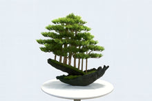 画像をギャラリービューアに読み込む, VICKY YAO Fine Bonsai - Handcrafted Bonsai Tree Sculpture Artificial Bonsai with Natural Wood Base Preserved Moss Zen Decor L65xW30xH66cm