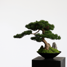 Load image into Gallery viewer, VICKY YAO -Realistic Japanese Pine Bonsai in Black Bowl Handmade Artificial Tree with Preserved Moss &amp; Stone Zen Home or Office Decor 48x30x40H