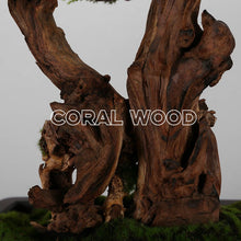 Load image into Gallery viewer, VICKY YAO Bonsai Project - Realistic Juniper Bonsai for New Chinese &amp; Japanese Style Restaurant customizable in any size. UV-resistant, waterproof indoor outdoor