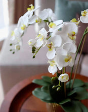 Load image into Gallery viewer, VICKY YAO Faux Floral - Exclusive Design Natural Touch Orchid Flowers Arrangement