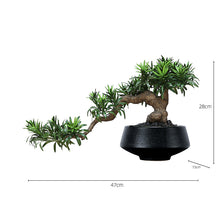 画像をギャラリービューアに読み込む, VICKY YAO Design Aesthetic - Mini Realistic Buddha Pine Bonsai 47x15x28cm