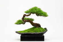 將圖片載入圖庫檢視器 VICKY YAO Design Aesthetic - Exclusive Design Handmade Latest Works Realistic Artificial Faux Bonsai Art W57 x D33 x H48 cm