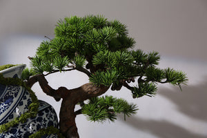 VICKY YAO Art Aesthetic - New Arrival Chinese Broken Ceramic Preserved Moss Artworks