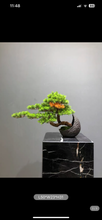 Load image into Gallery viewer, VICKY YAO Design Aesthetic - Exclusive Luxury Artificial Bonsai Tree in Realistic Moon Pot Faux Bonsai Art