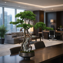 Load image into Gallery viewer, VICKY YAO Fine Bonsai - Exclusively Designed Realistic Bonsai Stone – Handcrafted Artistic Creation L56 x H60cm