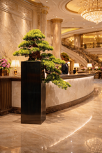 Laden Sie das Bild in den Galerie-Viewer, VICKY YAO Faux Bonsai - Exclusive Design Metal Base Luxury Artificial Bonsai Art Work