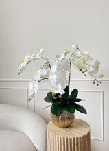 Laden Sie das Bild in den Galerie-Viewer, VICKY YAO Faux Floral - Exclusive Design Faux Phalaenopsis Orchid Flowers Arrangement