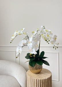 VICKY YAO Faux Floral - Exclusive Design Natural Touch Orchid Flowers Arrangement