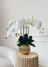 Laden Sie das Bild in den Galerie-Viewer, VICKY YAO Faux Floral - Exclusive Design Faux Phalaenopsis Orchid Flowers Arrangement