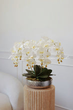 Load image into Gallery viewer, VICKY YAO Design aesthetic- Best Popular Handmade Exclusive Design Natural Touch Artificial Orchids Art In Ceramic Golden Pot