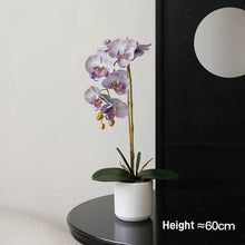 將圖片載入圖庫檢視器 VICKY YAO Faux Floral- Natural Touch Artificial Orchid 1 Stem Flower Arrangement White Pot