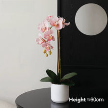 Load image into Gallery viewer, VICKY YAO Faux Floral- Natural Touch Artificial Orchid 1 Stem Flower Arrangement White Pot