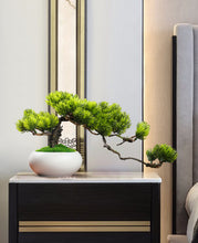 Load image into Gallery viewer, VICKY YAO Faux Bonsai - Natural Fresh Green Artificial Bonsai Art In White Pot &amp; Luxury Bonsai Fragrance 50ml
