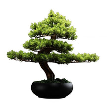 Load image into Gallery viewer, VICKY YAO Faux Bonsai -  Artificial Juniper Bonsai Tree in Realistic Ceramic Pot 39x22x38cmH