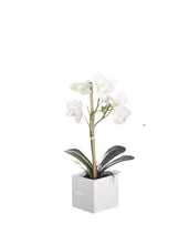Laden Sie das Bild in den Galerie-Viewer, VICKY YAO Faux Floral - Natural Touch Artificial 1 Stem Orchid Floral Arrangement In Ceramic Cube Pot