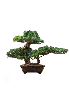 VICKY YAO Faux Bonsai - Artificial Ficus Bonsai Tree in Realistic 4 feet Ceramic Pot 39x19x29cm