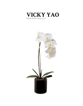 將圖片載入圖庫檢視器 VICKY YAO Faux Floral - Best Selling Real Touch Elegant Artificial Orchid Arrangement Preserved Moss In Black Pot
