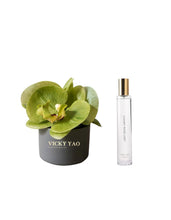 將圖片載入圖庫檢視器 VICKY YAO FRAGRANCE - Cute Natural Touch Fresh Green Faux Orchid Art &amp; Luxury Fragrance 50ml