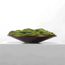 Laden Sie das Bild in den Galerie-Viewer, VICKY YAO Preserved Moss - Nature Gift Real Preserved Moss Art &amp; Natural Bonsai Spray 50ml