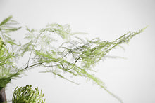 Load image into Gallery viewer, VICKY YAO - Luxury Exclusive Design Handmade Preserved Moss Art In Metal Iron Base