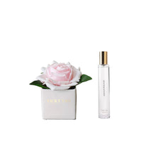 Load image into Gallery viewer, VICKY YAO x Kogan - Natural Touch Super Large 12cm Fuchsia BabyPink Damask Rose &amp; Luxury Fragrance Gift Box 50ml