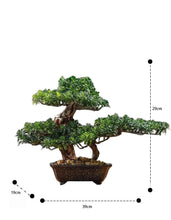 画像をギャラリービューアに読み込む, VICKY YAO Faux Bonsai - Artificial Ficus Bonsai Tree in Realistic 4 feet Ceramic Pot 39x19x29cm