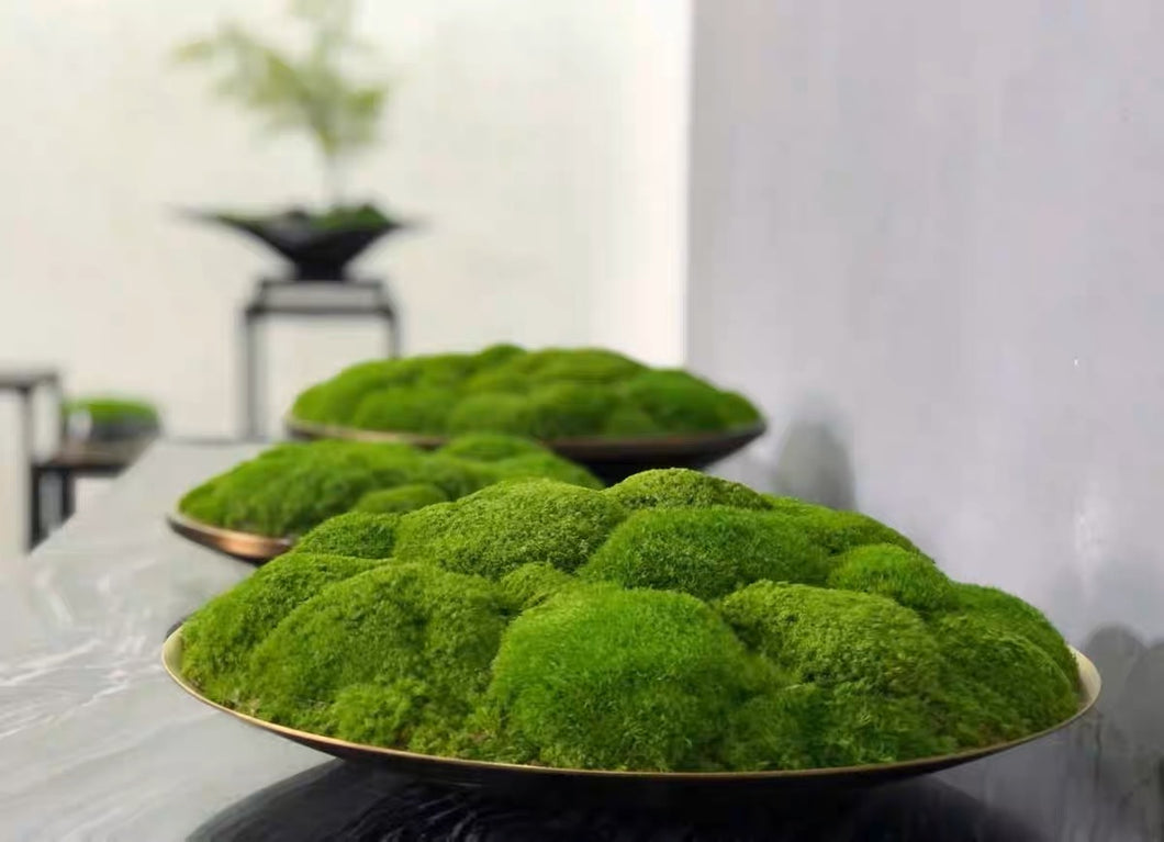 VICKY YAO Design Aesthetic- Nature Gift Real Preserved Moss Art D30/D40cm