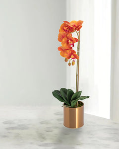 VICKY YAO Faux Floral - Artificial 1 Stem Orange Orchid Flower Arrangement 60cm