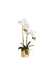 將圖片載入圖庫檢視器 VICKY YAO Faux Floral -Real Touch 2 Stem Artificial Orchid Golden Pot