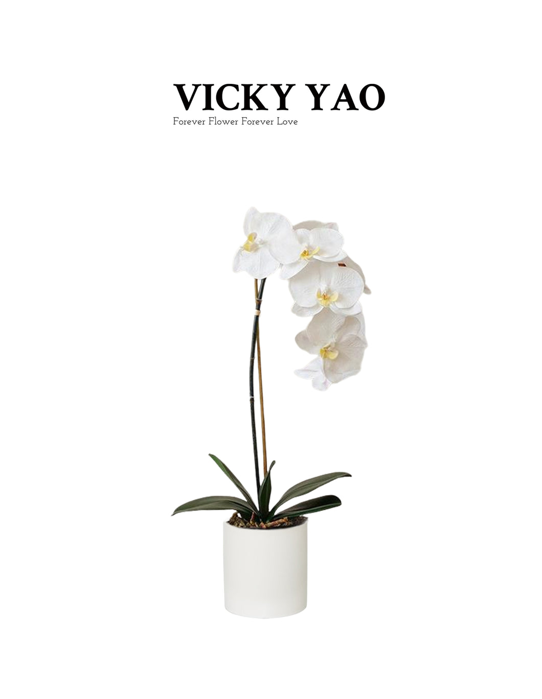 VICKY YAO Faux Floral - Best Selling Real Touch Elegant Artificial Orchid Arrangement Preserved Moss In Black Pot