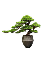 Load image into Gallery viewer, VICKY YAO Faux Bonsai - Exclusive Design Artificial Bonsai Arrangement In Ceramic Pot Gift for Him