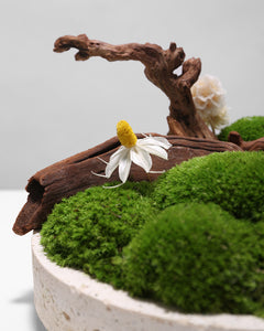 VICKY YAO Preserved Moss - Love Nature Preserved Moss In Artificial Marble Base