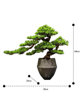 Load image into Gallery viewer, VICKY YAO Faux Bonsai - Exclusive Design Best Selling Luxury Restaurant Artificial Bonsai Art 78x68cmH