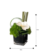 Laden Sie das Bild in den Galerie-Viewer, Vicky Yao Faux Floral -Exclusive Design Faux Green Orchid Arrangement