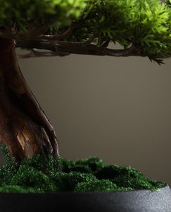 VICKY YAO Faux Bonsai -  Artificial Juniper Bonsai Tree in Realistic Ceramic Pot 39x22x38cmH