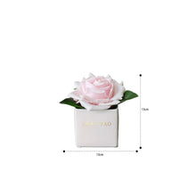 Load image into Gallery viewer, VICKY YAO x Kogan - Natural Touch Super Large 12cm Fuchsia BabyPink Damask Rose &amp; Luxury Fragrance Gift Box 50ml