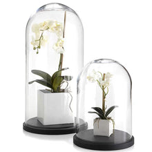 画像をギャラリービューアに読み込む, VICKY YAO Faux Floral - Natural Touch Artificial 1 Stem Orchid Floral Arrangement In Ceramic Cube Pot