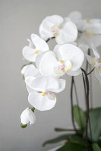Laden Sie das Bild in den Galerie-Viewer, VICKY YAO Faux Floral - Luxury Elegant Natural Touch Faux Floral Arrangement With White Ceramic Pot