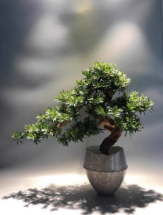 VICKY YAO Faux Bonsai - Exclusive Design Faux Bonsai Art In Ceramic Pot Gift for Him