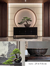 Laden Sie das Bild in den Galerie-Viewer, VICKY YAO Faux Bonsai - Exclusive Limited Deluxe Faux Bonsai Art &amp; Bonsai Spray 50ml