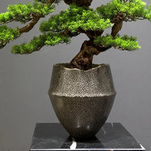 Load image into Gallery viewer, VICKY YAO Faux Bonsai - Exclusive Design Artificial Bonsai Arrangement In Ceramic Pot Gift for Him