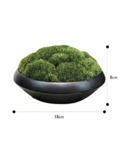 Laden Sie das Bild in den Galerie-Viewer, VICKY YAO Preserved Moss - Exclusive Design Preserved Moss Bowl Art In Ceramic Pot