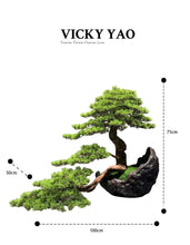 Load image into Gallery viewer, VICKY YAO Faux Bonsai - Exclusive Limited Deluxe Faux Bonsai Art &amp; Bonsai Spray 50ml