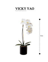 Laden Sie das Bild in den Galerie-Viewer, VICKY YAO Faux Floral - Best Selling Real Touch Elegant Artificial Orchid Arrangement Preserved Moss In Black Pot
