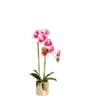 Laden Sie das Bild in den Galerie-Viewer, VICKY YAO Faux Floral -Real Touch 2 Stem Artificial Orchid Golden Pot